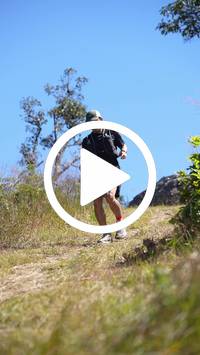 BIB:  <button type="button" onclick="openModal(26596745)" class="btn btn-primary btn-sm float-right" data-toggle="modal" data-target=".modal-high-quality">
                <i class="fa fa-download"></i> Download
                </button>